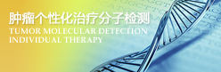 肿瘤个性化治疗分子检测 肿瘤个性化治疗分子检测